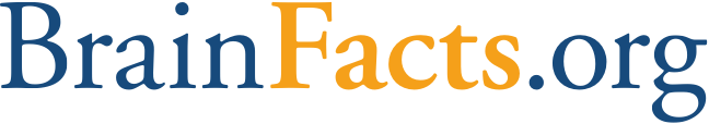 Brainfacts Logo